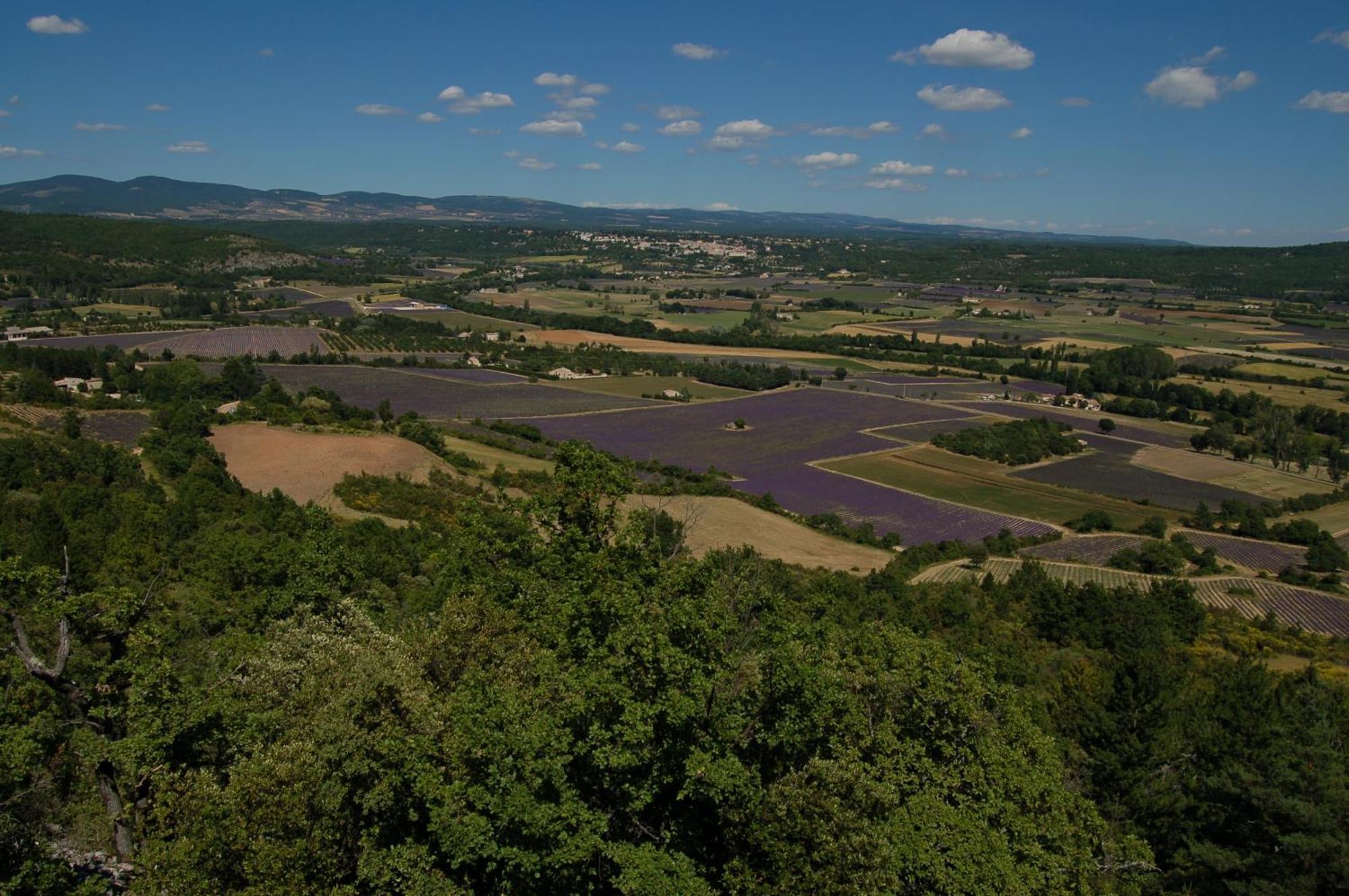 Le Gite De Lolivier En Provence Aramon Exterior foto