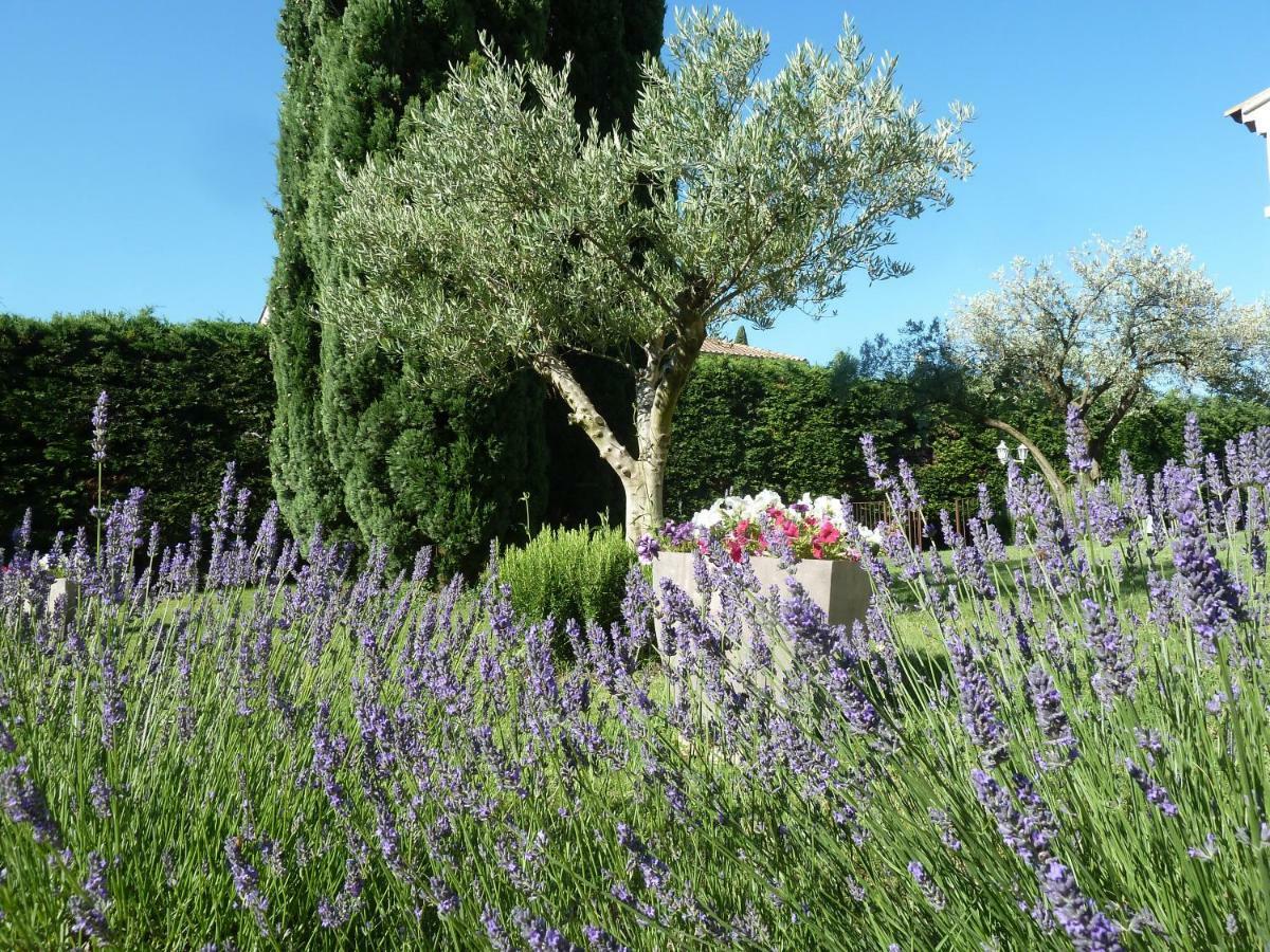 Le Gite De Lolivier En Provence Aramon Exterior foto